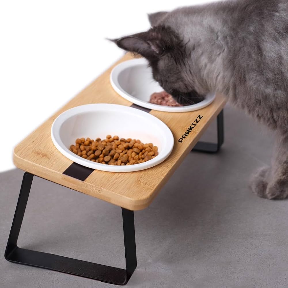 cat bowl and stand