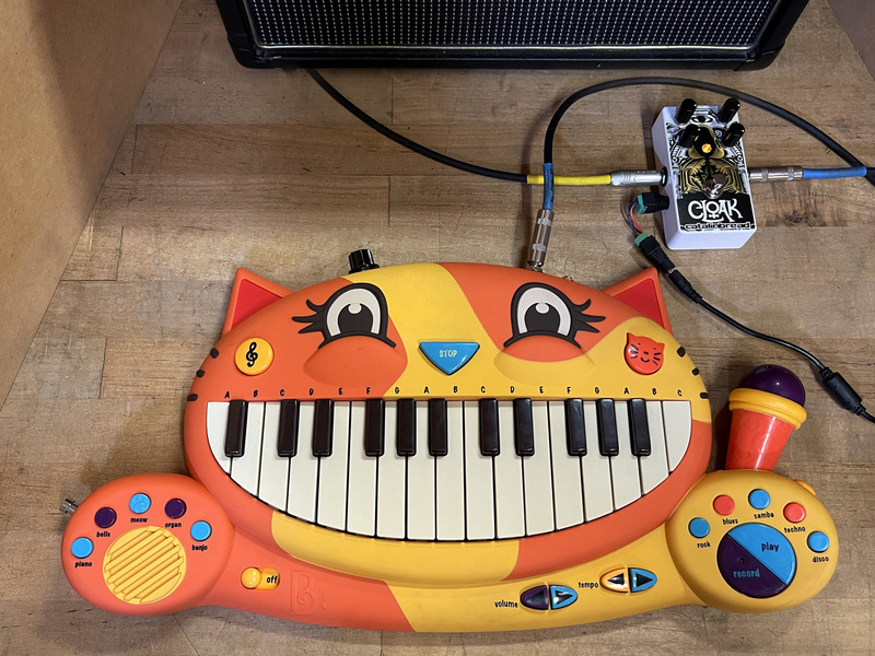 cat piano keyboard