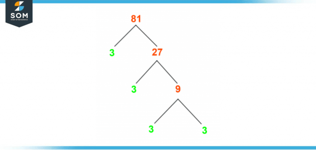 81 prime factor