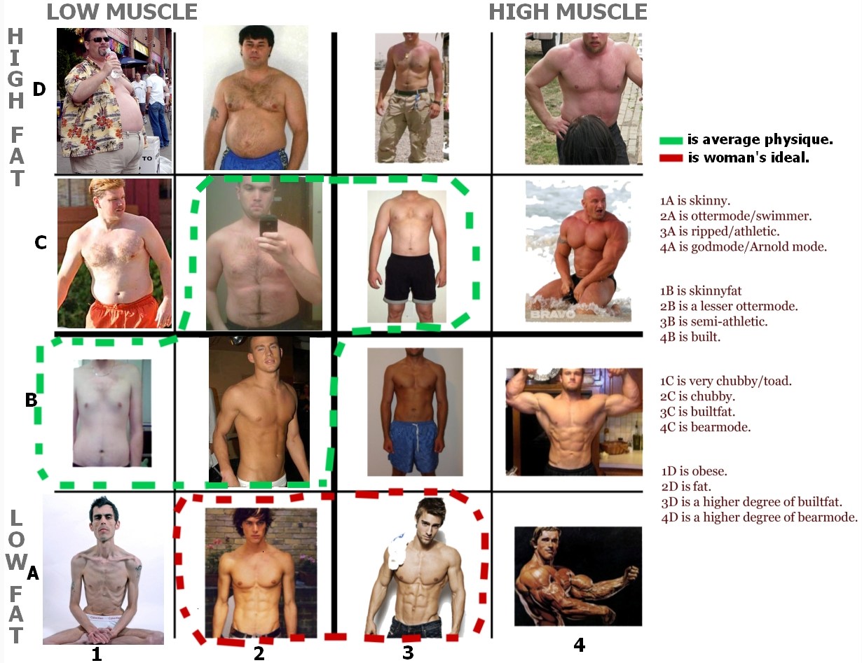 body fat calculator reddit