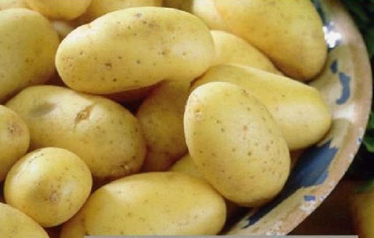 goldenheart potatoes