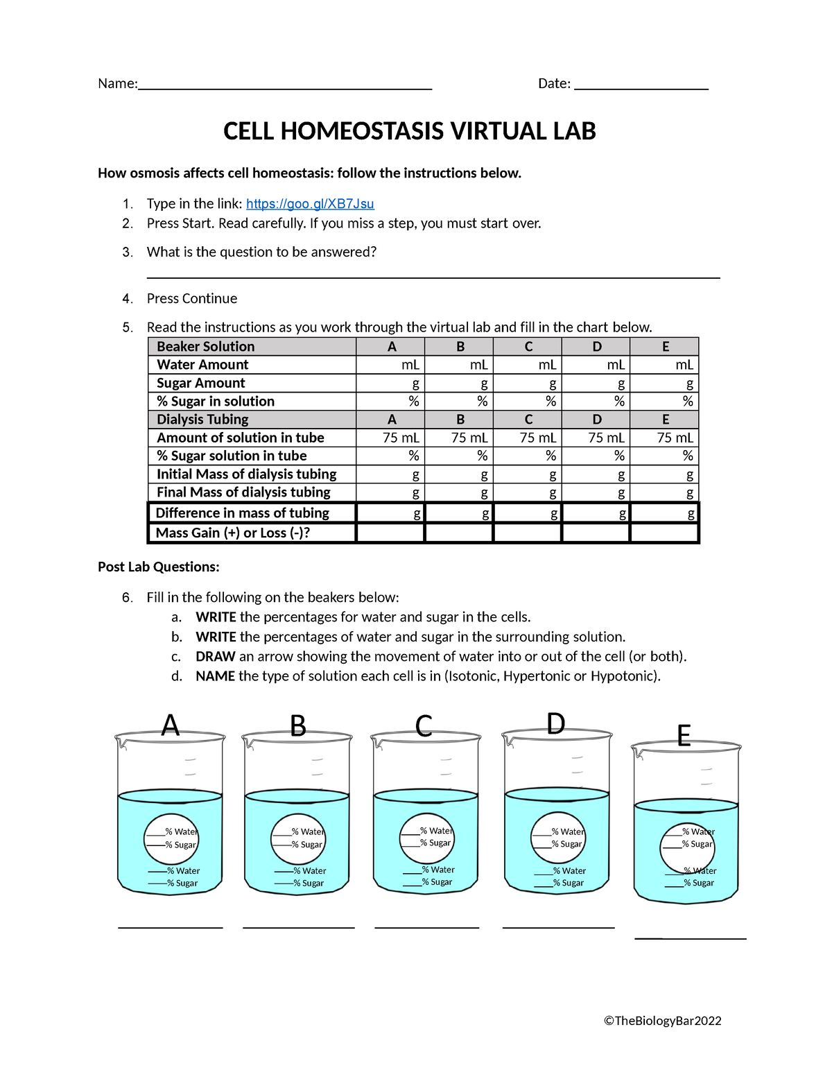 cell homeostasis virtual lab worksheet