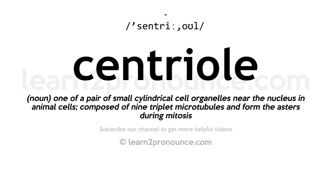 centrioles pronunciation