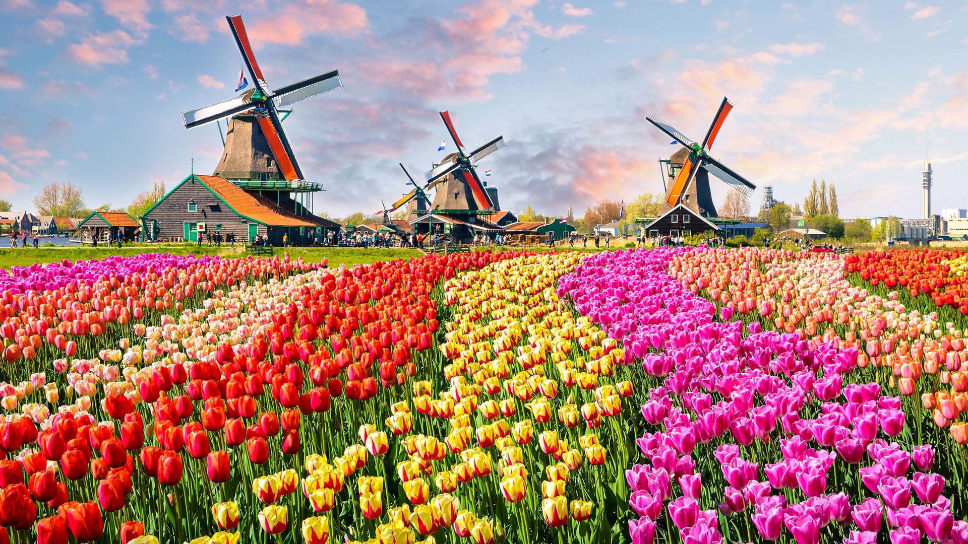 cheap flights to amsterdam from london