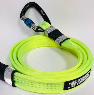 chew proof dog leash