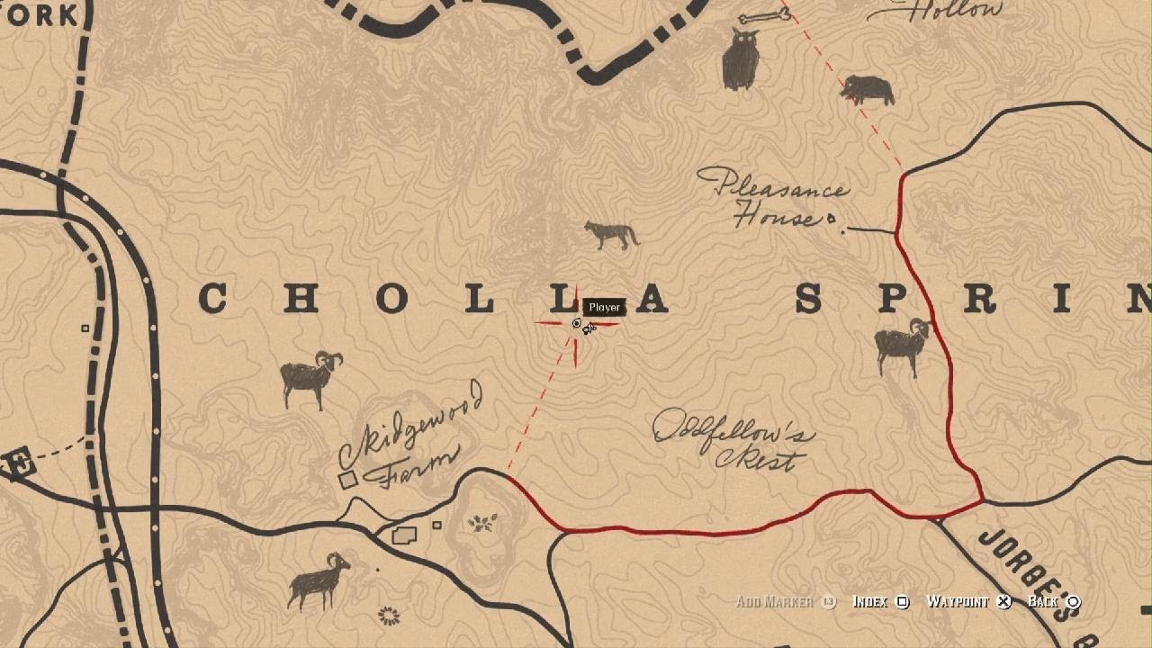 cholla springs rdr2