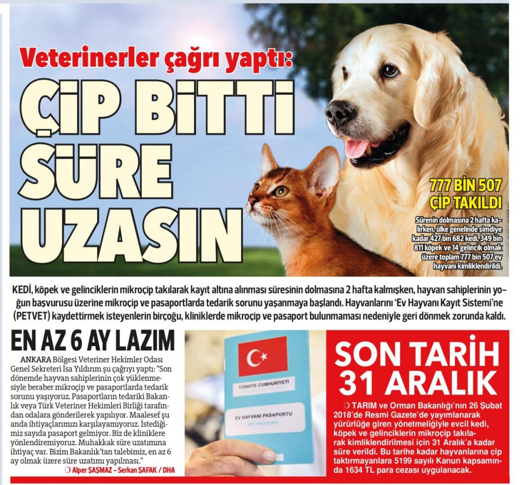 cip nasıl olunur