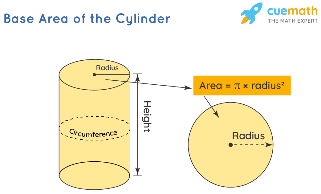 circumference of base of cylinder