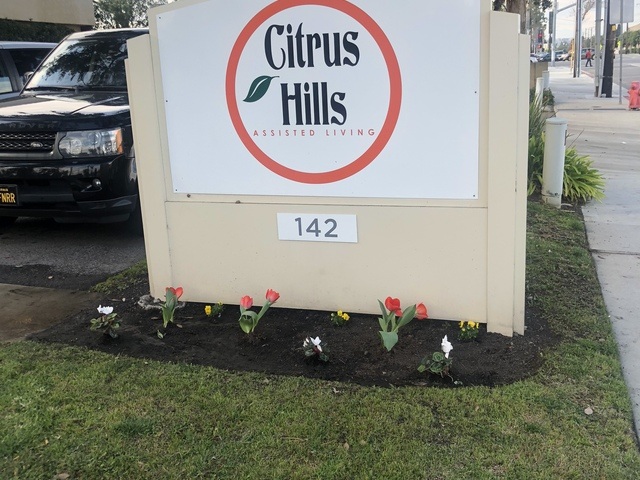 citrus hills assisted living photos