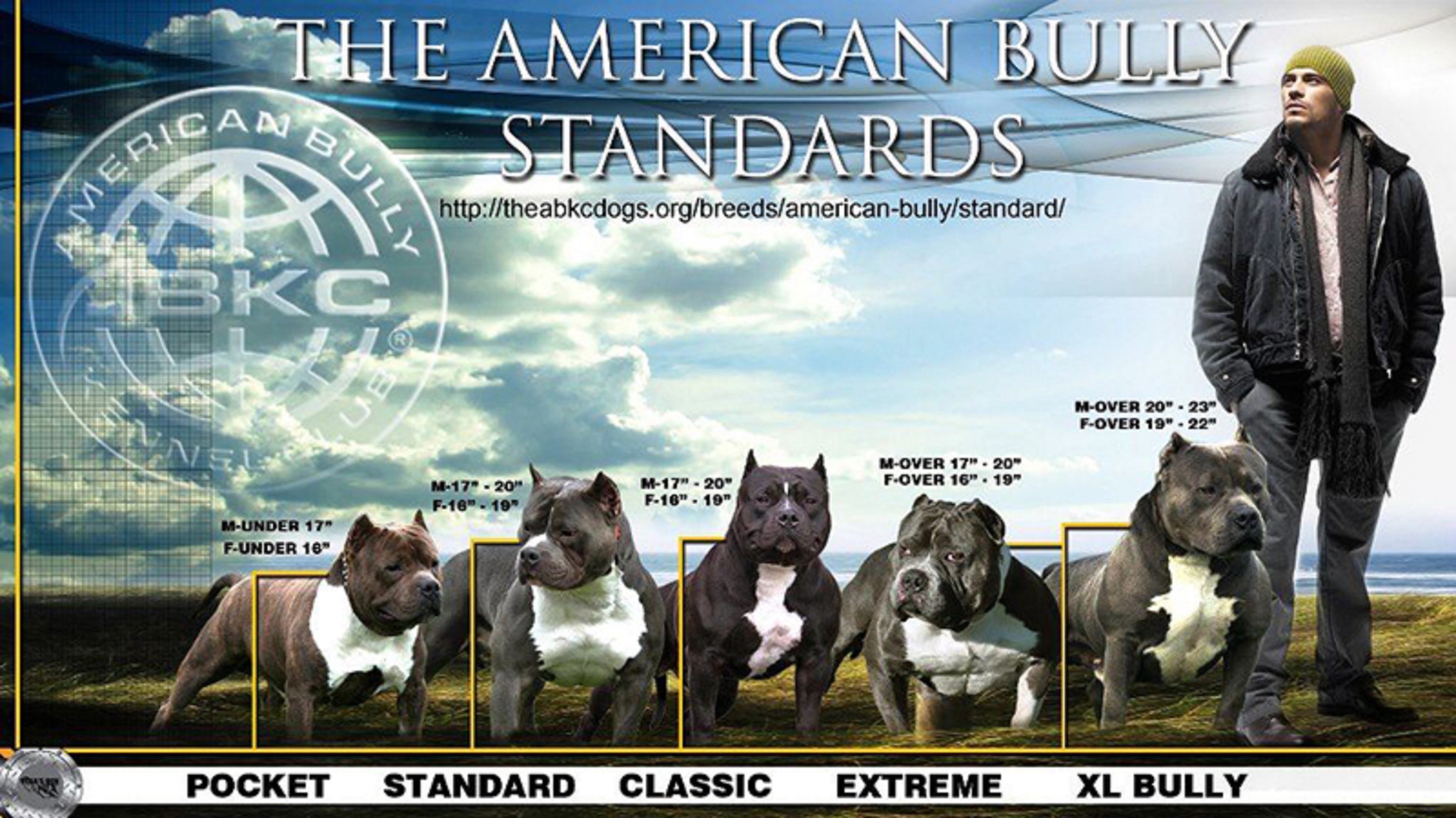 classic american bully breeders