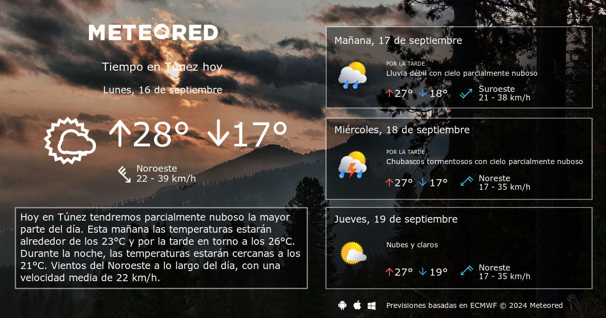 clima de 10 días para túnez