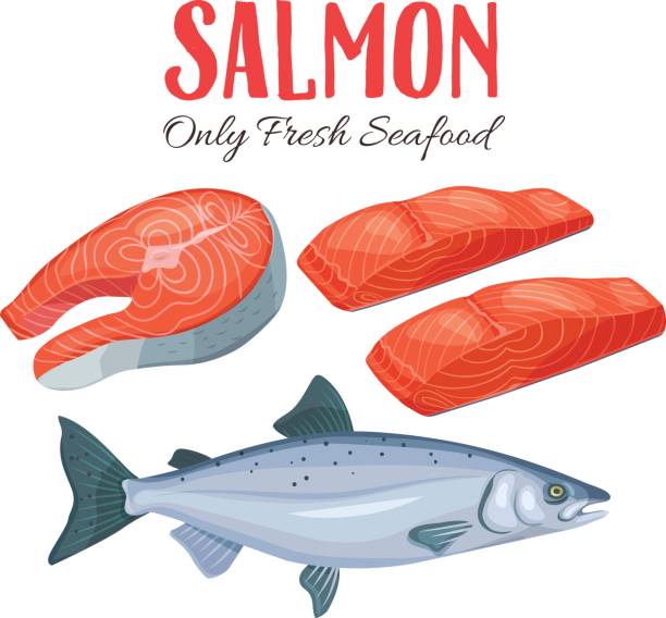 clip art salmon