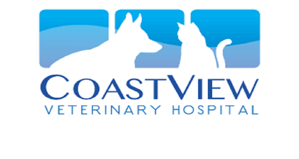 coastview veterinary hospital