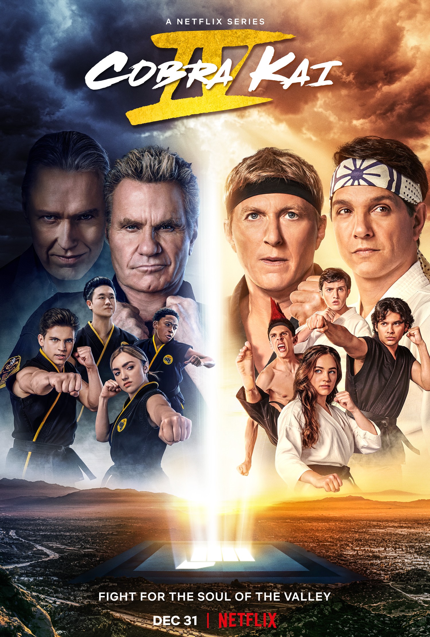 cobra kai rated