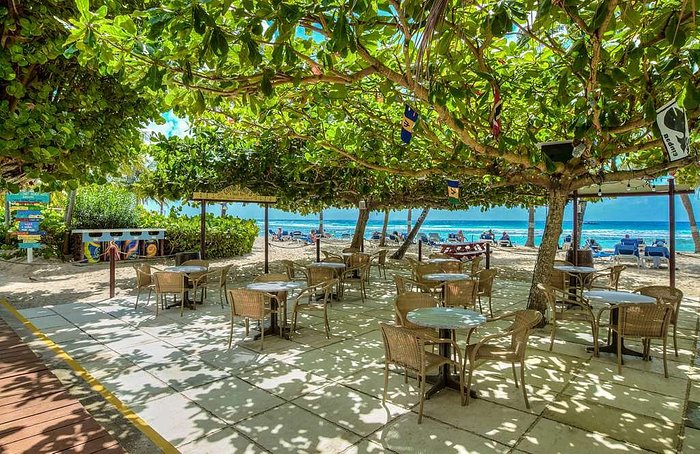 coconut court barbados reviews