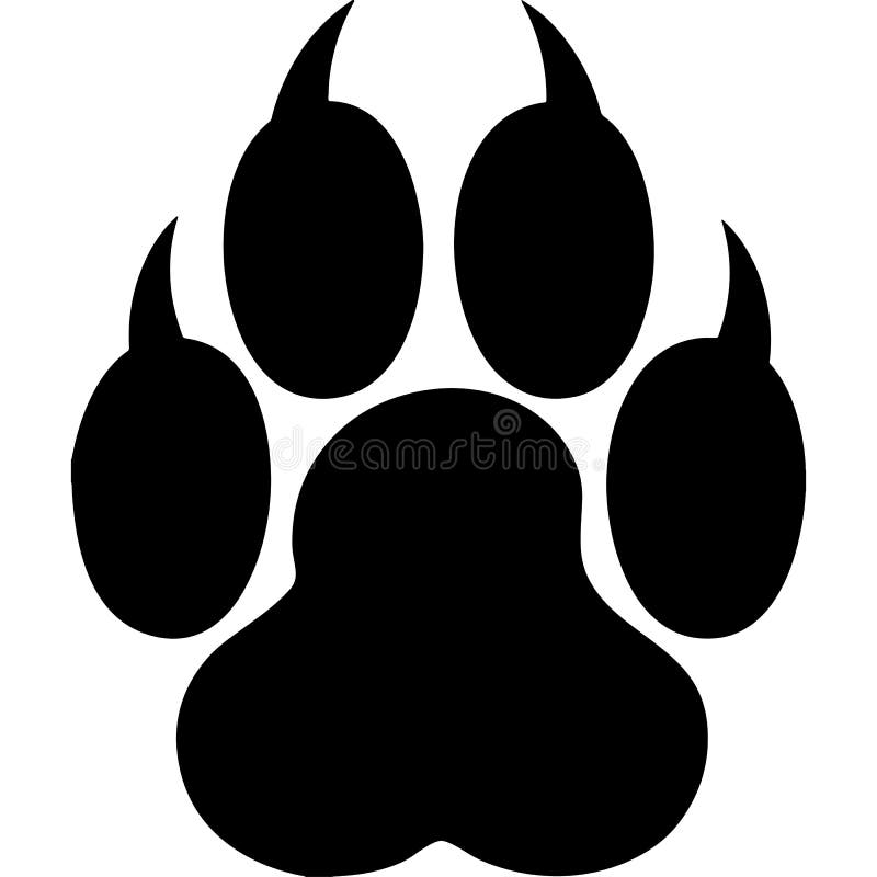 cougar paw drawing