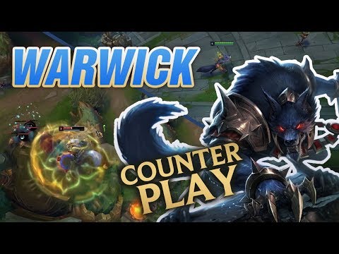 counters warwick top