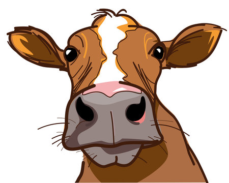 cow clipart