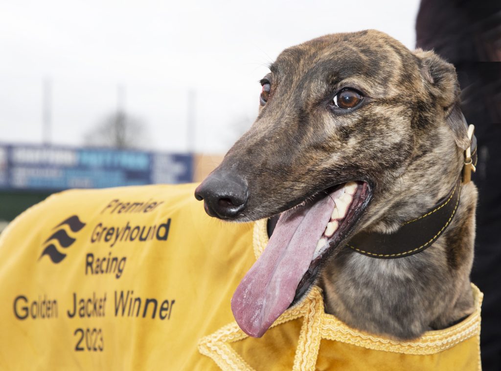 crayford dog racing results