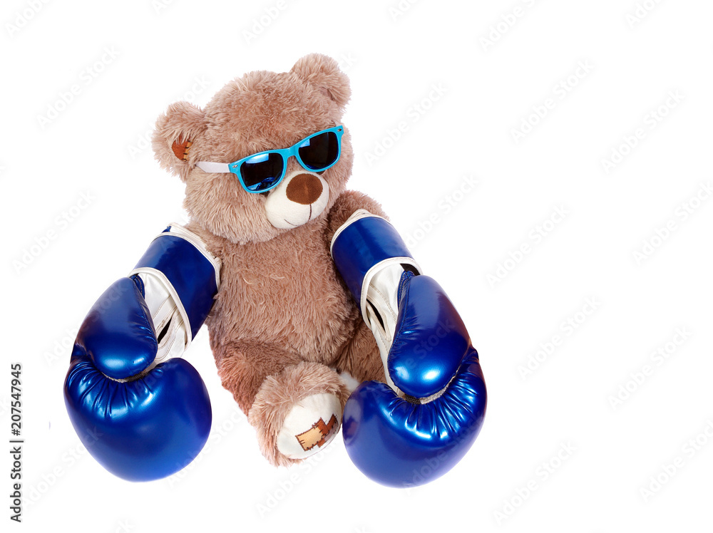 boxer teddy bear