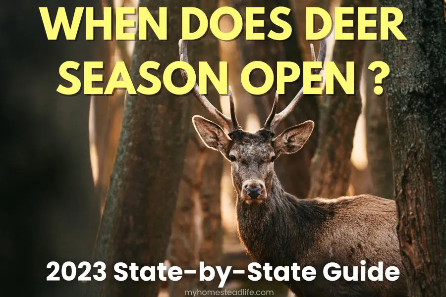 when does deer season start in nc 2023