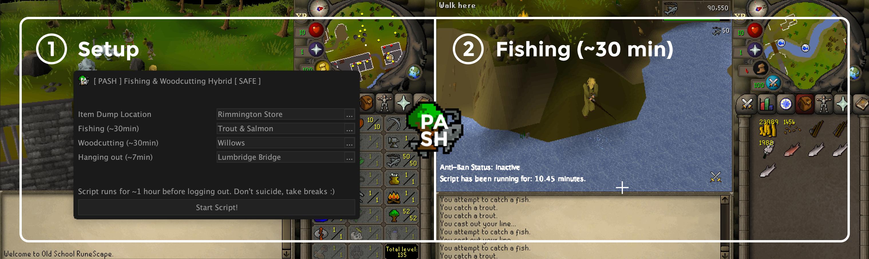 runescape 3 free bot