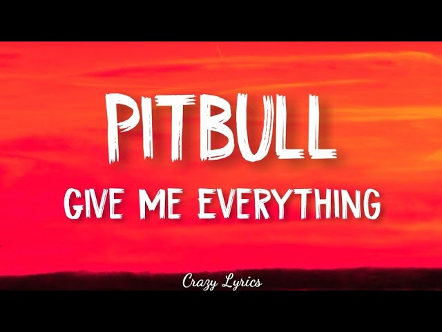 pitbull give me everything lyrics