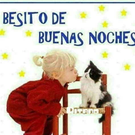 imagenes de buenas noches chistosas para whatsapp