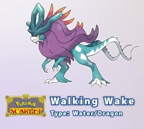 suicune paradox form