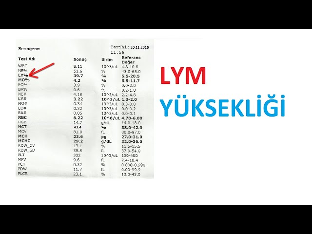 hemogramda ly yüksekliği