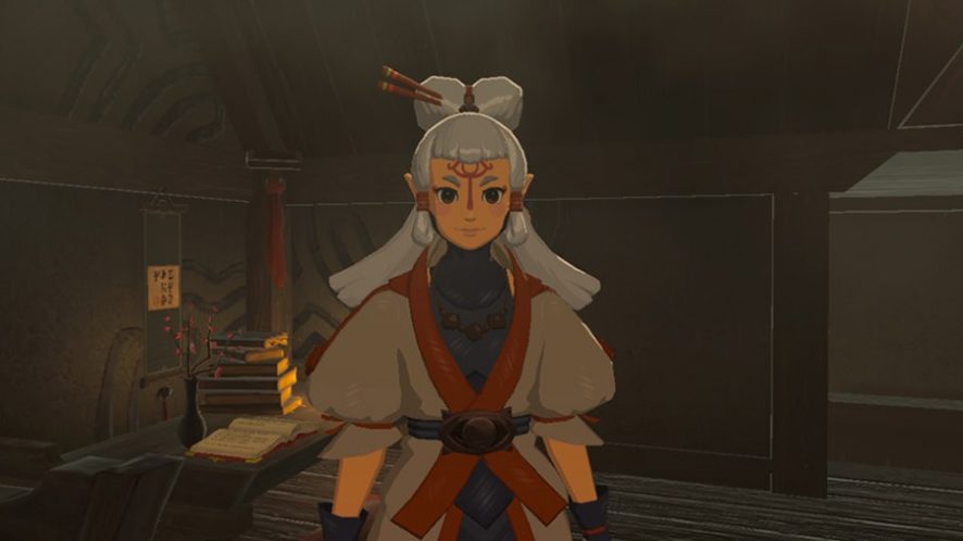 paya zelda