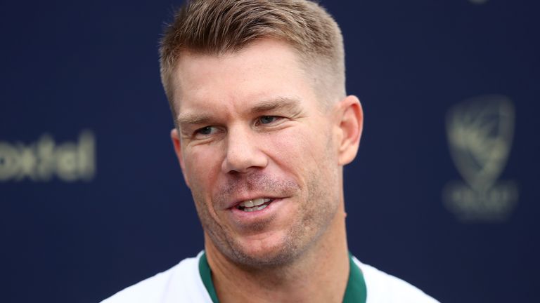 david warner hairstyle