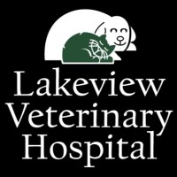 lakeview veterinary hospital new orleans