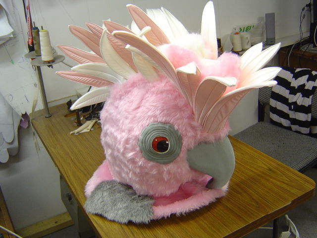 galah costume