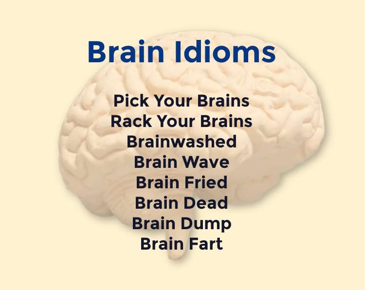 brain fart synonym