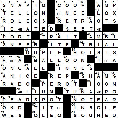 hirsuteness crossword