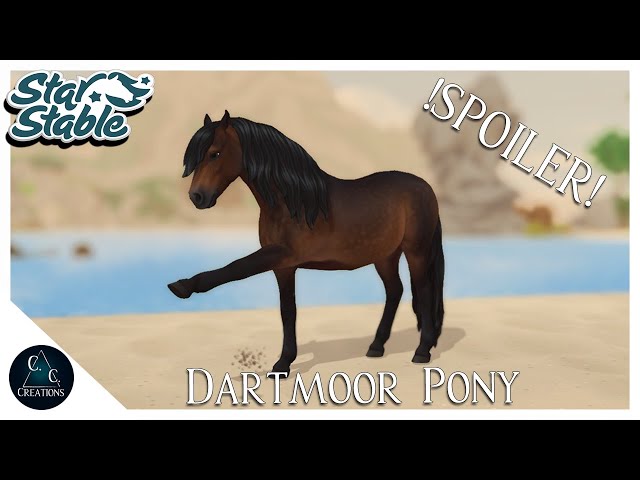 dartmoor pony sso