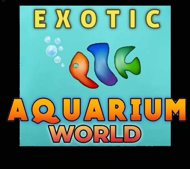 exotic aquarium world