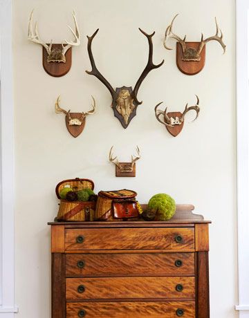 decorative antlers