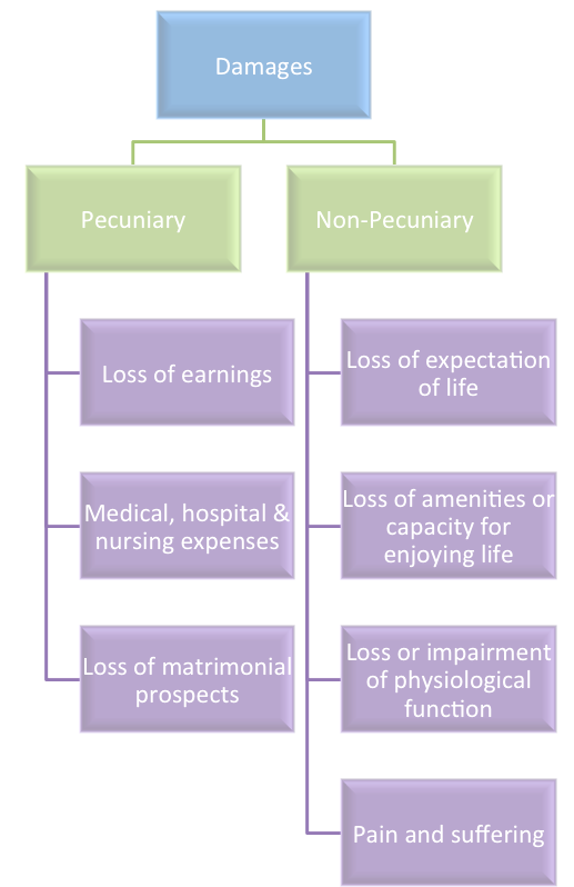 definition of pecuniary loss