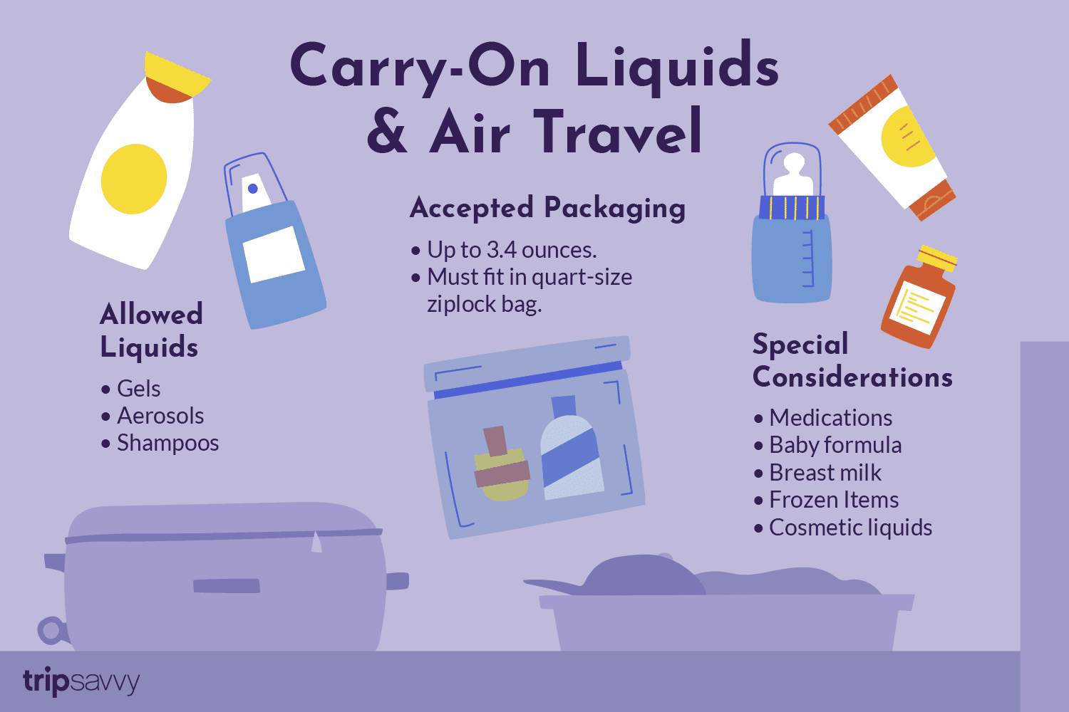 delta carry on liquid size