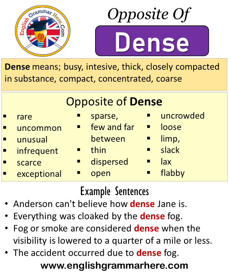 dense antonym