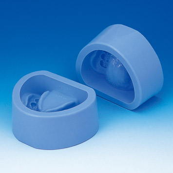 dental plaster mold