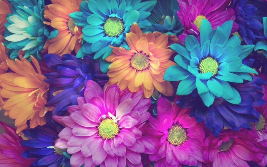 desktop wallpaper flowers