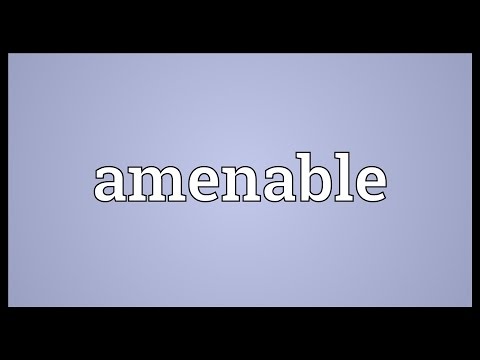 amenable meaning in english