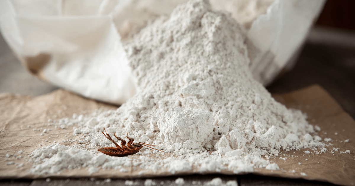 diatomaceous earth and roaches