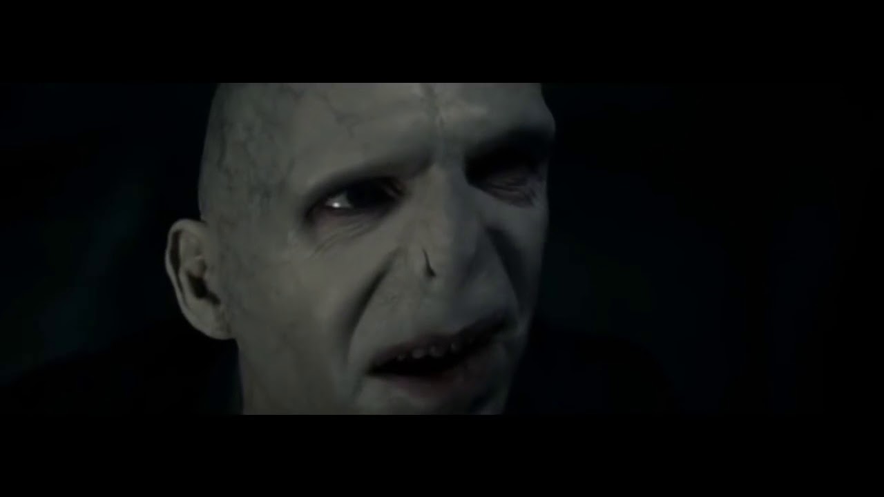 did voldemort kill grindelwald