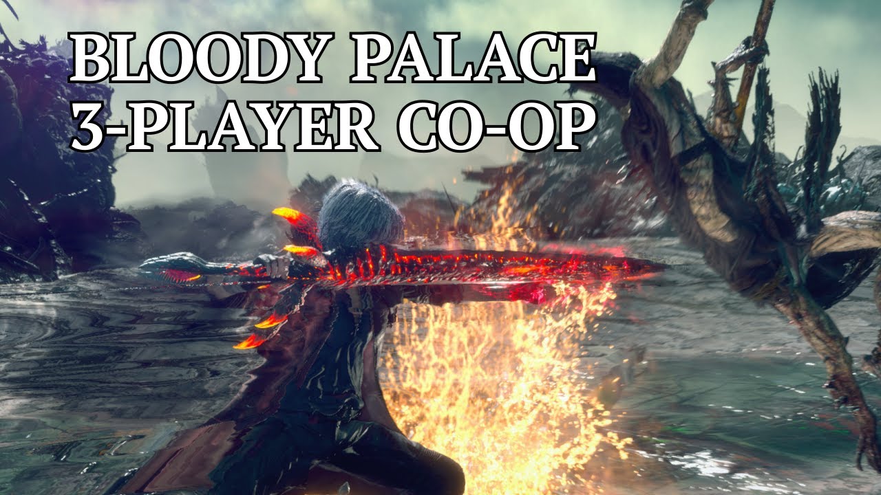 dmc5 co op