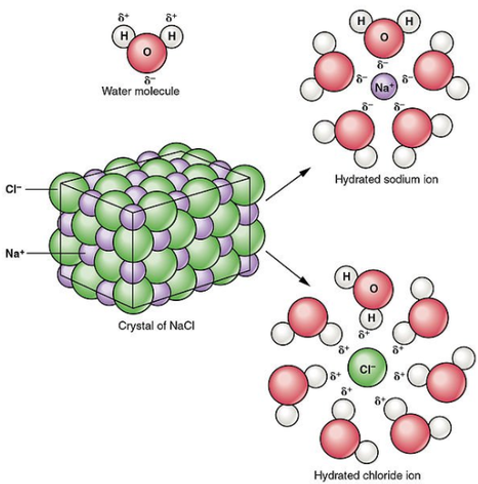 do ionic compounds dissolve in water