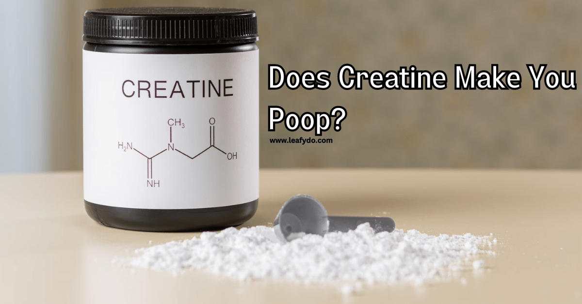 does creatine make you constipated